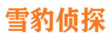 霸州市私家侦探